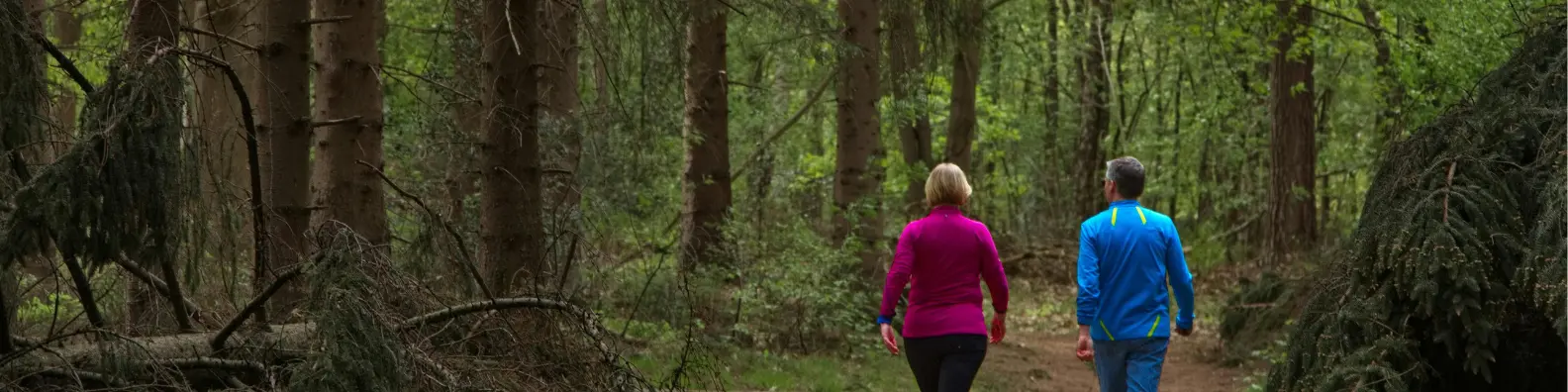 Two people walking a quiet forest trail