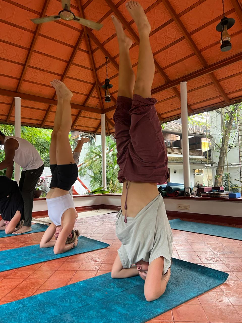 7-Day Yoga & Culture Retreat in Munnar & Fort Kochi for Balance & Reset