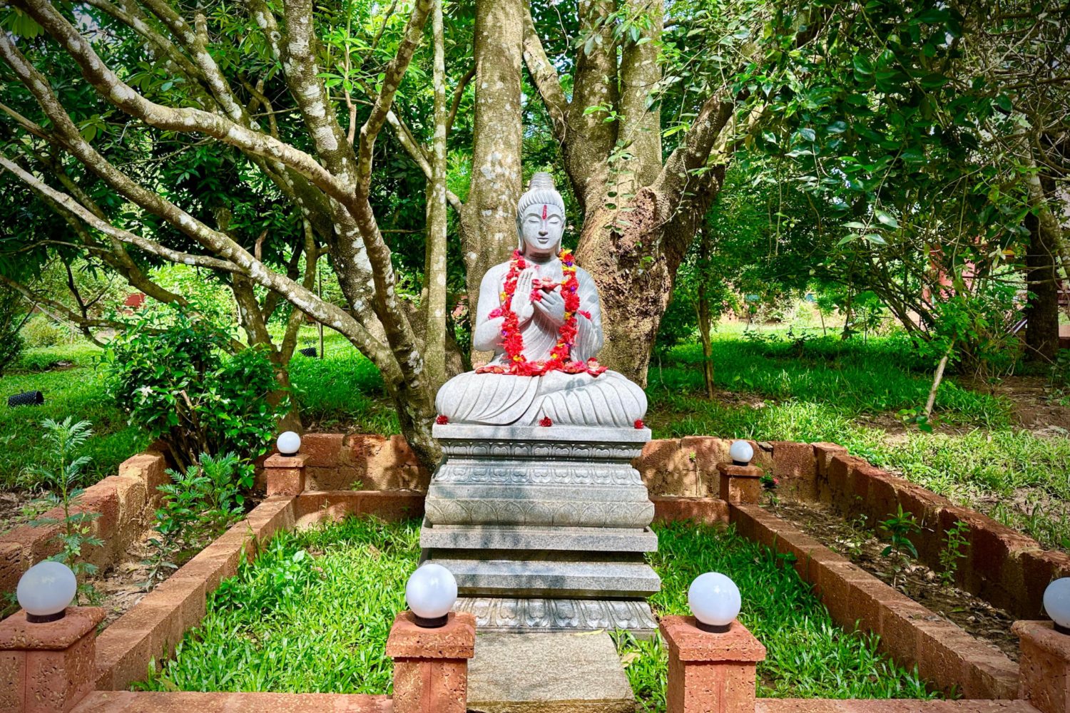 7-Day Ayurvedic Reset in Wayanad for Digital Workers' Renewal
