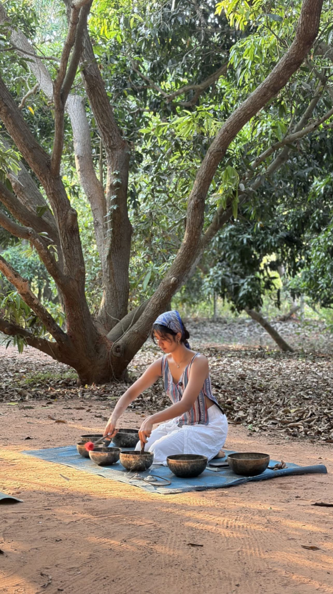 Forest Living Residency near Auroville for Reconnection & Reset